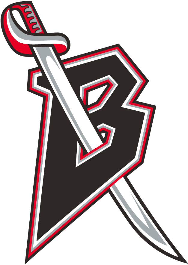 Buffalo Sabres 1996-1999 Alternate Logo iron on transfers for fabric version 2